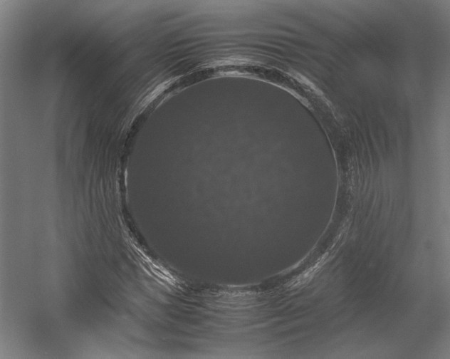 X0000058100921200509230956
