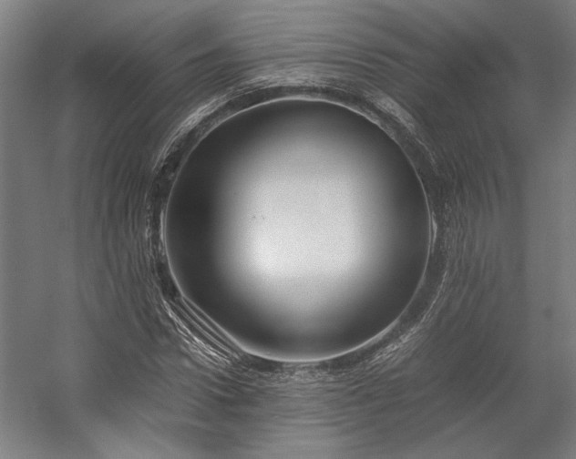 X0000058100922200509230956