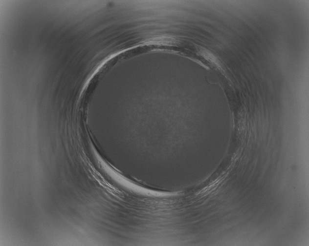 X0000058100923200509230956