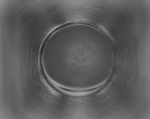 X0000058100932200509230956