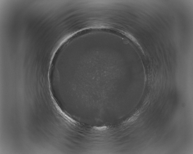 X0000058100935200509230956