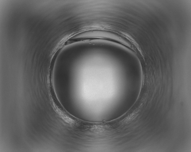X0000058100938200509230956