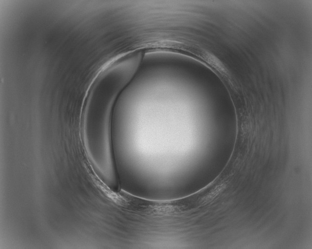 X0000058100940200509230956