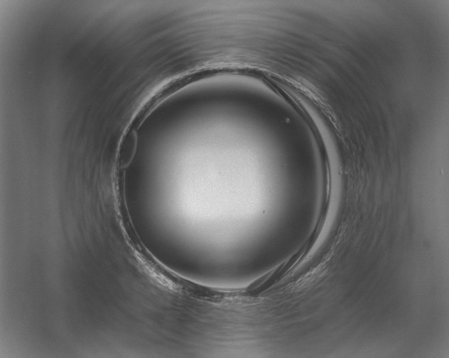 X0000058100942200509230956