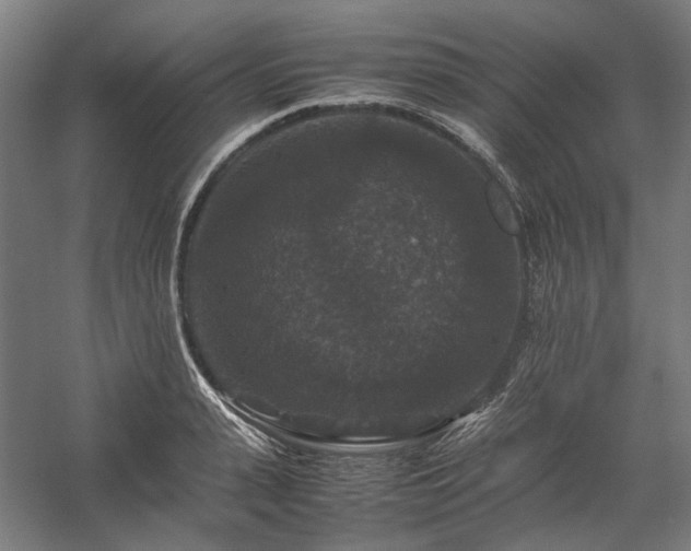 X0000058100943200509230956