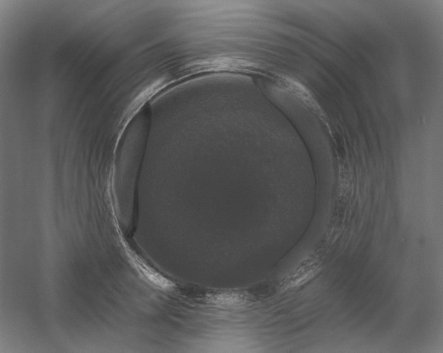 X0000058100946200509230956