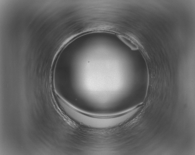 X0000058100948200509230956