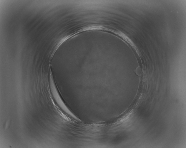 X0000058100953200509230956