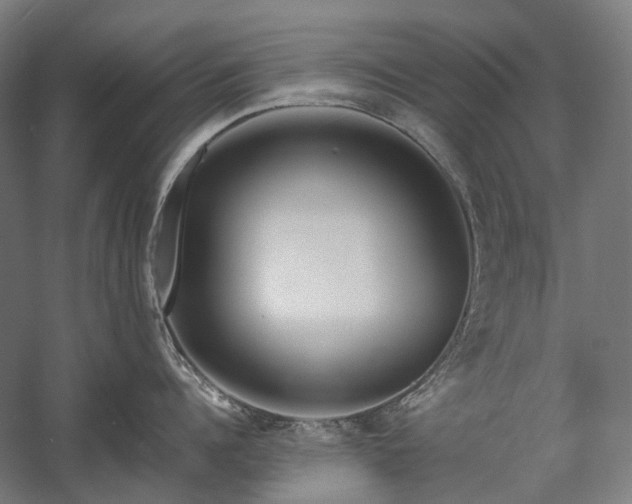 X0000058100960200509230956