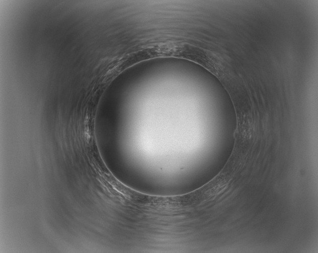 X0000058100962200509230955