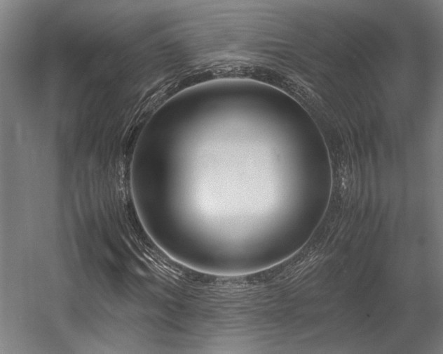 X0000058100964200509230955