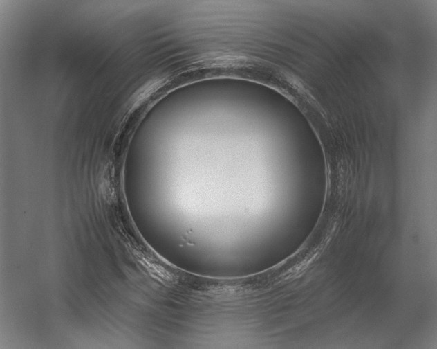 X0000058100970200509230955