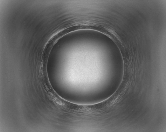 X0000058100971200509230955