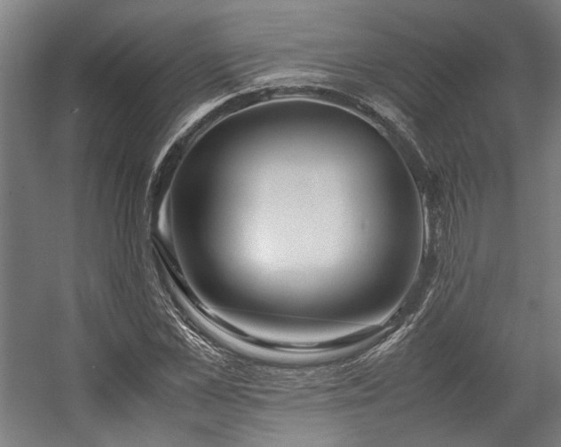 X0000058100973200509230955