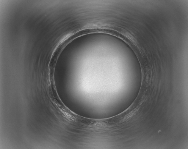 X0000058100974200509230955