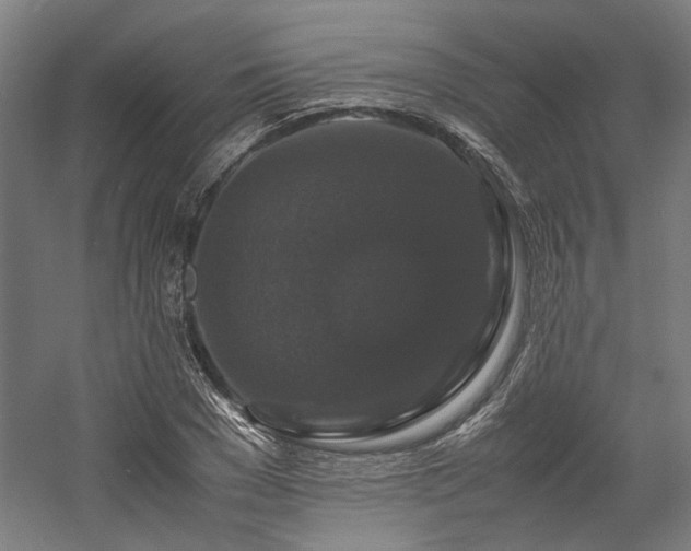 X0000058100977200509230955