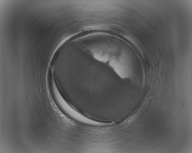 X0000058100983200509230955