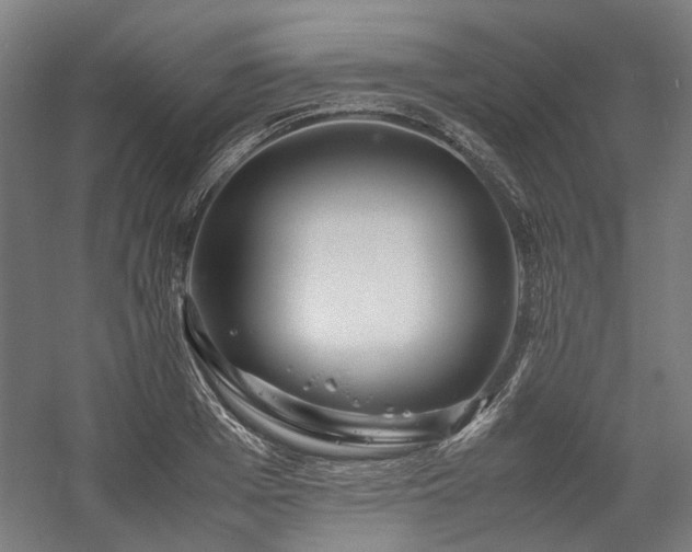 X0000058100985200509230955