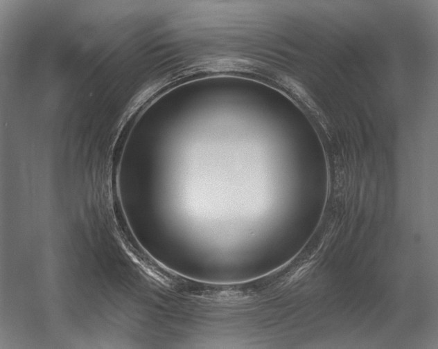 X0000058100986200509230955