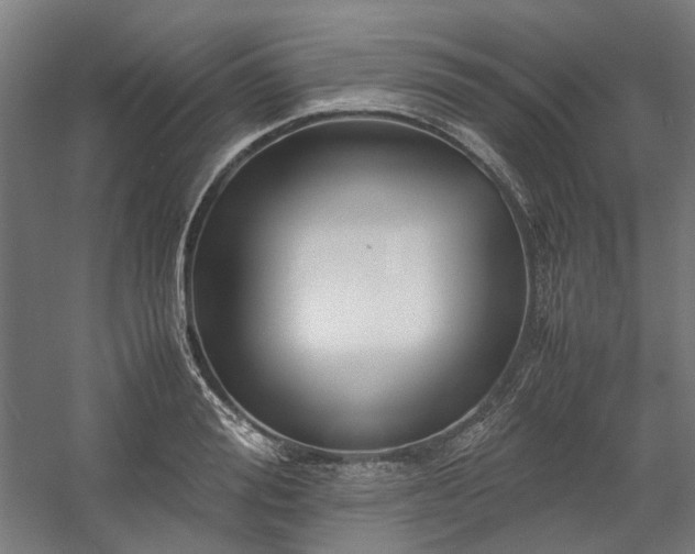 X0000058100988200509230955
