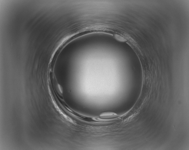 X0000058100989200509230955