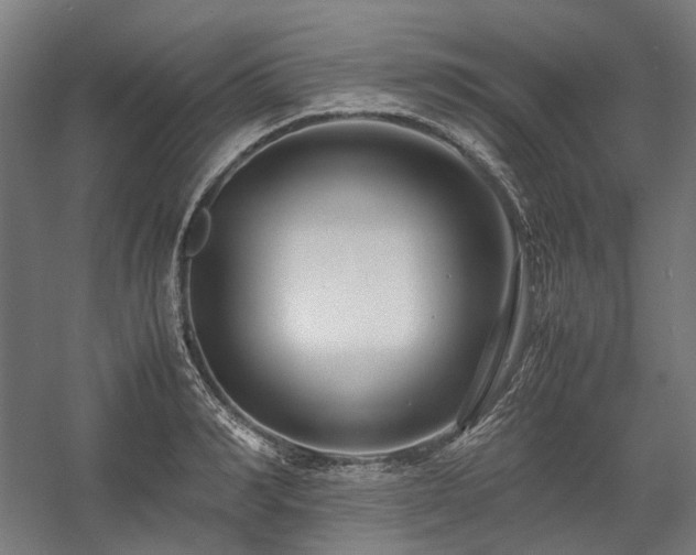 X0000058100990200509230955