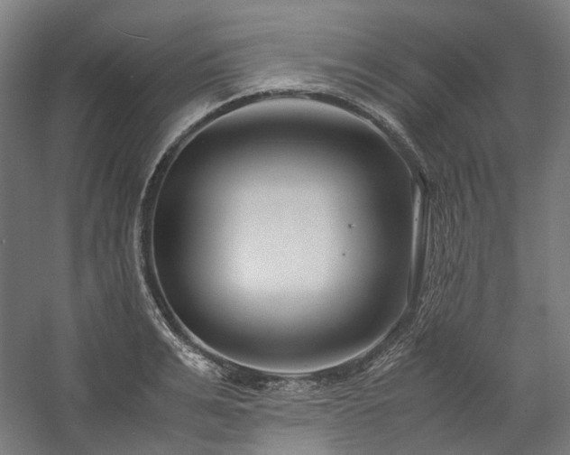 X0000058100991200509230955