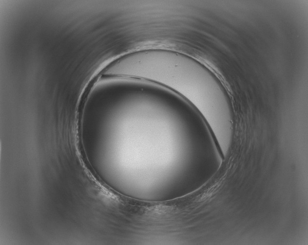 X0000058100992200509230955