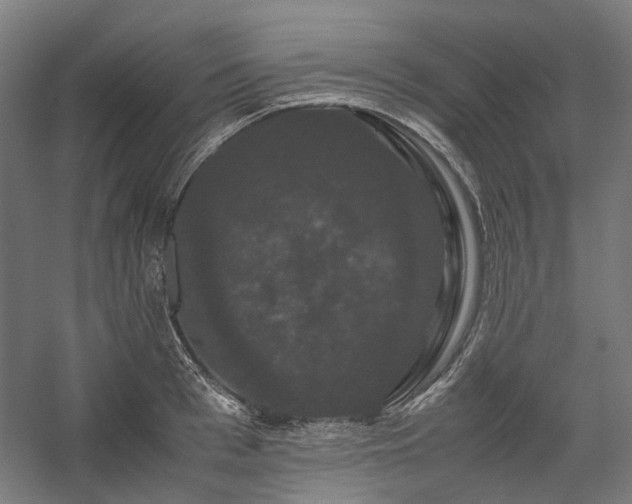 X0000058100993200509230955
