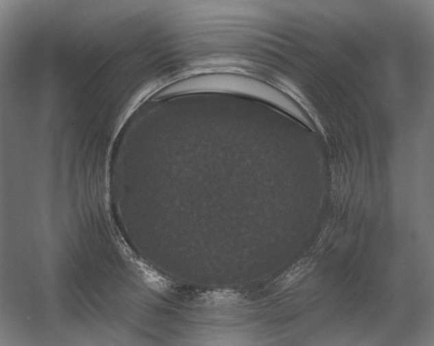 X0000058100994200509230955