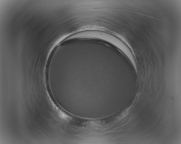 X0000058100995200509230955