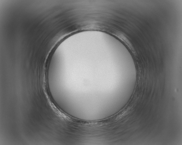 X0000058101000200509230955