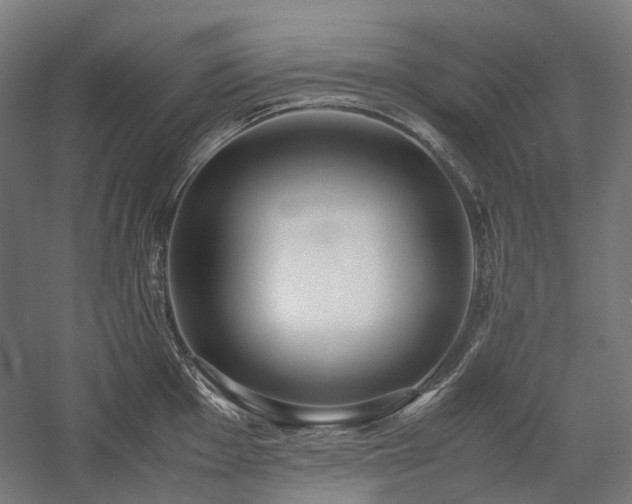 X0000058101001200509230955
