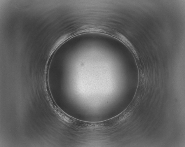 X0000058101002200509230955