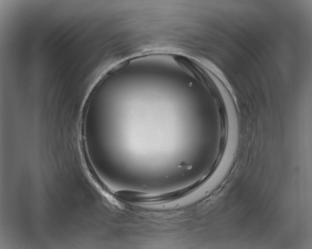 X0000058101005200509230955