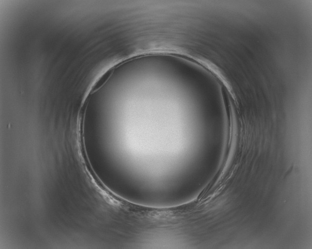 X0000058101006200509230955
