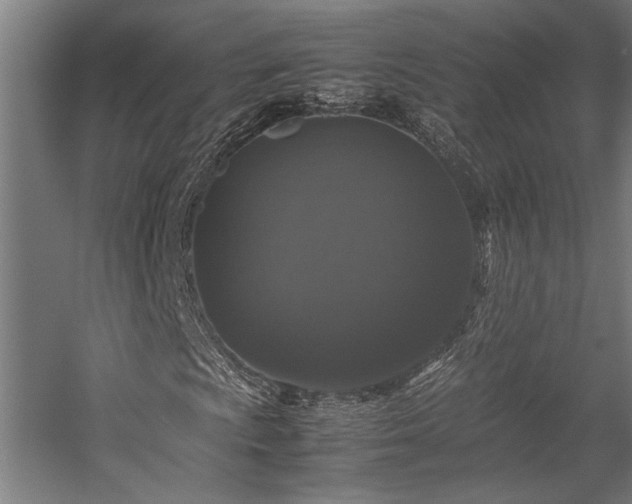 X0000058101009200509230954