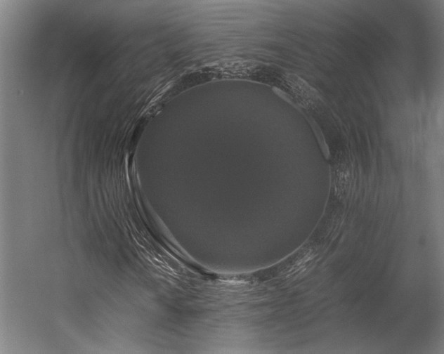 X0000058101010200509230954