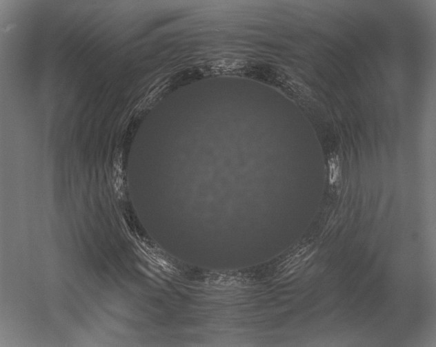 X0000058101011200509230954