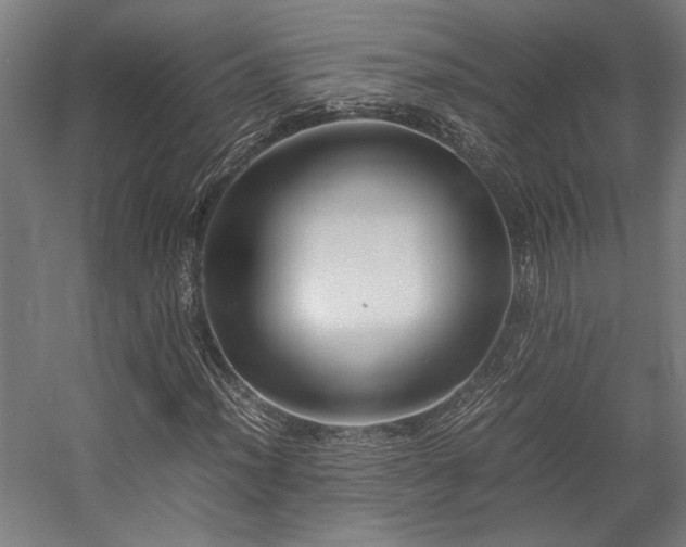 X0000058101012200509230954