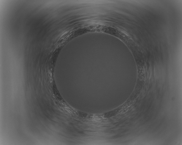 X0000058101013200509230954