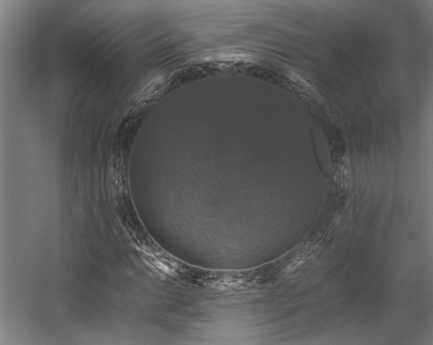 X0000058101014200509230954