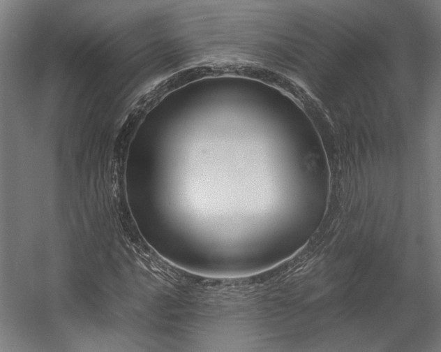 X0000058101016200509230954