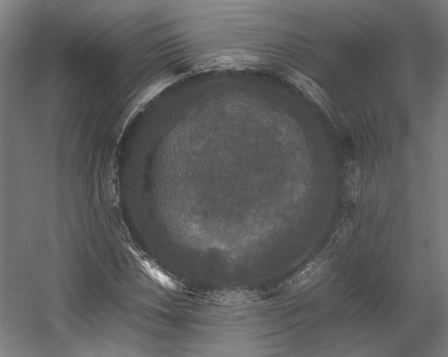 X0000058101018200509230954