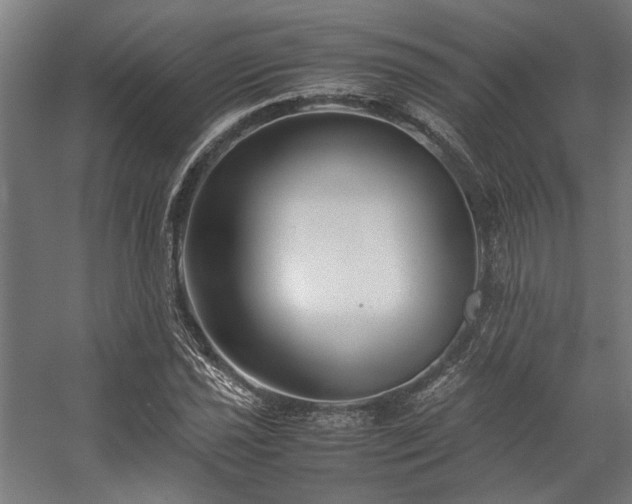 X0000058101021200509230954