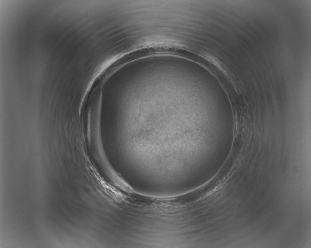 X0000058101022200509230954
