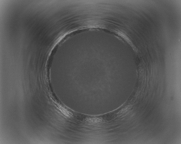 X0000058101023200509230954