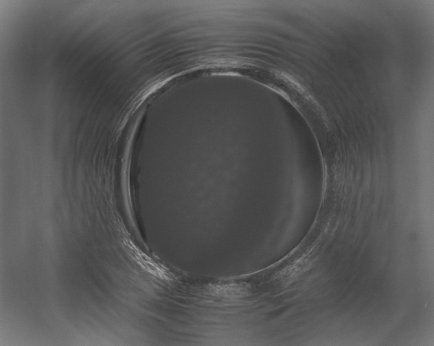 X0000058101025200509230954