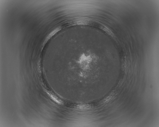 X0000058101026200509230954