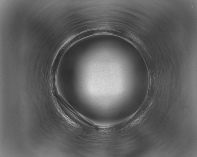 X0000058101029200509230954